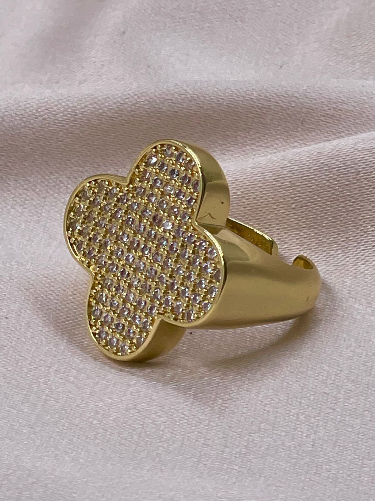 WhatsApp Image 2024-08-02 at 6.21.18 PM