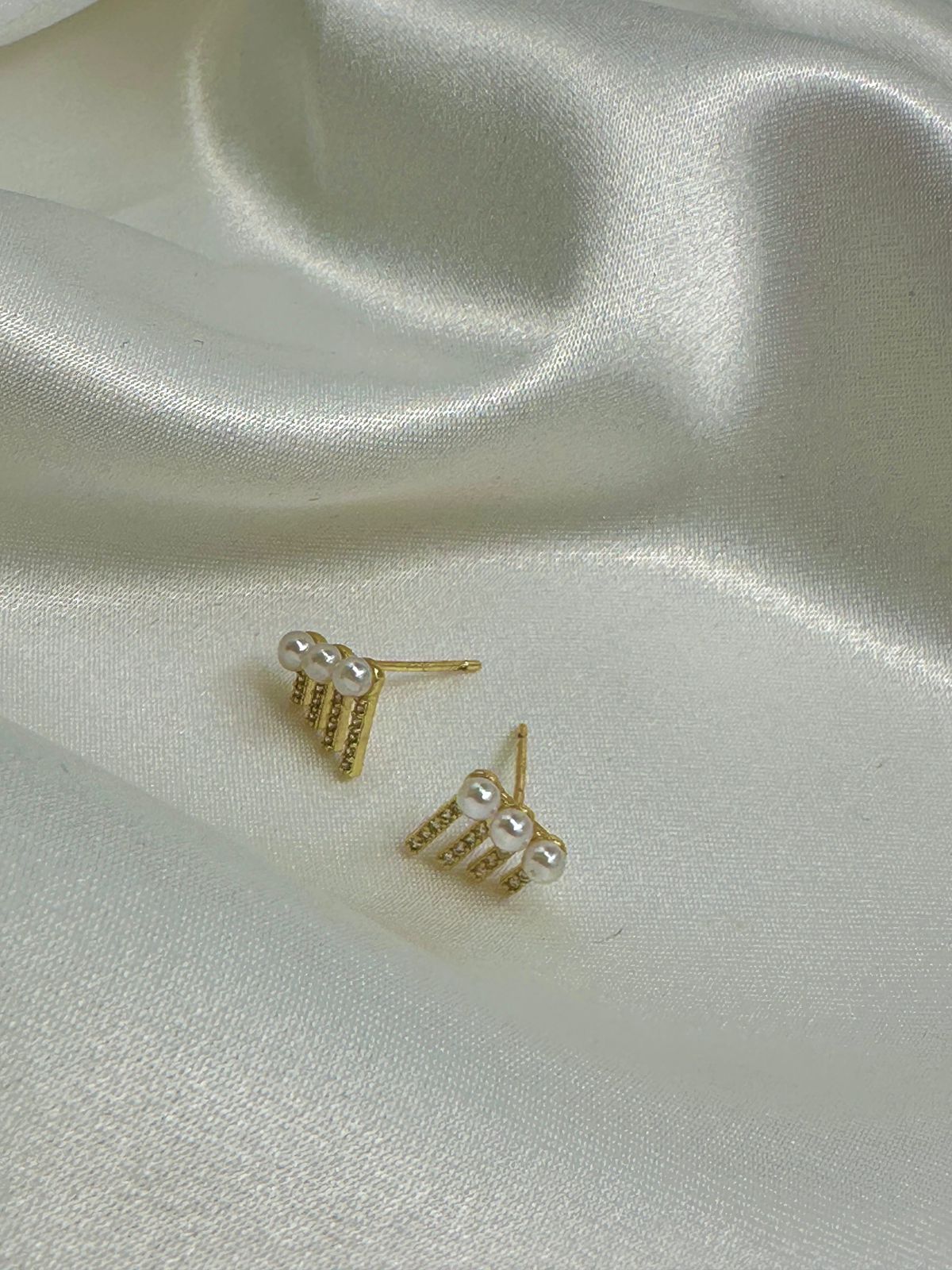 WhatsApp Image 2024-11-28 at 2.46.48 PM