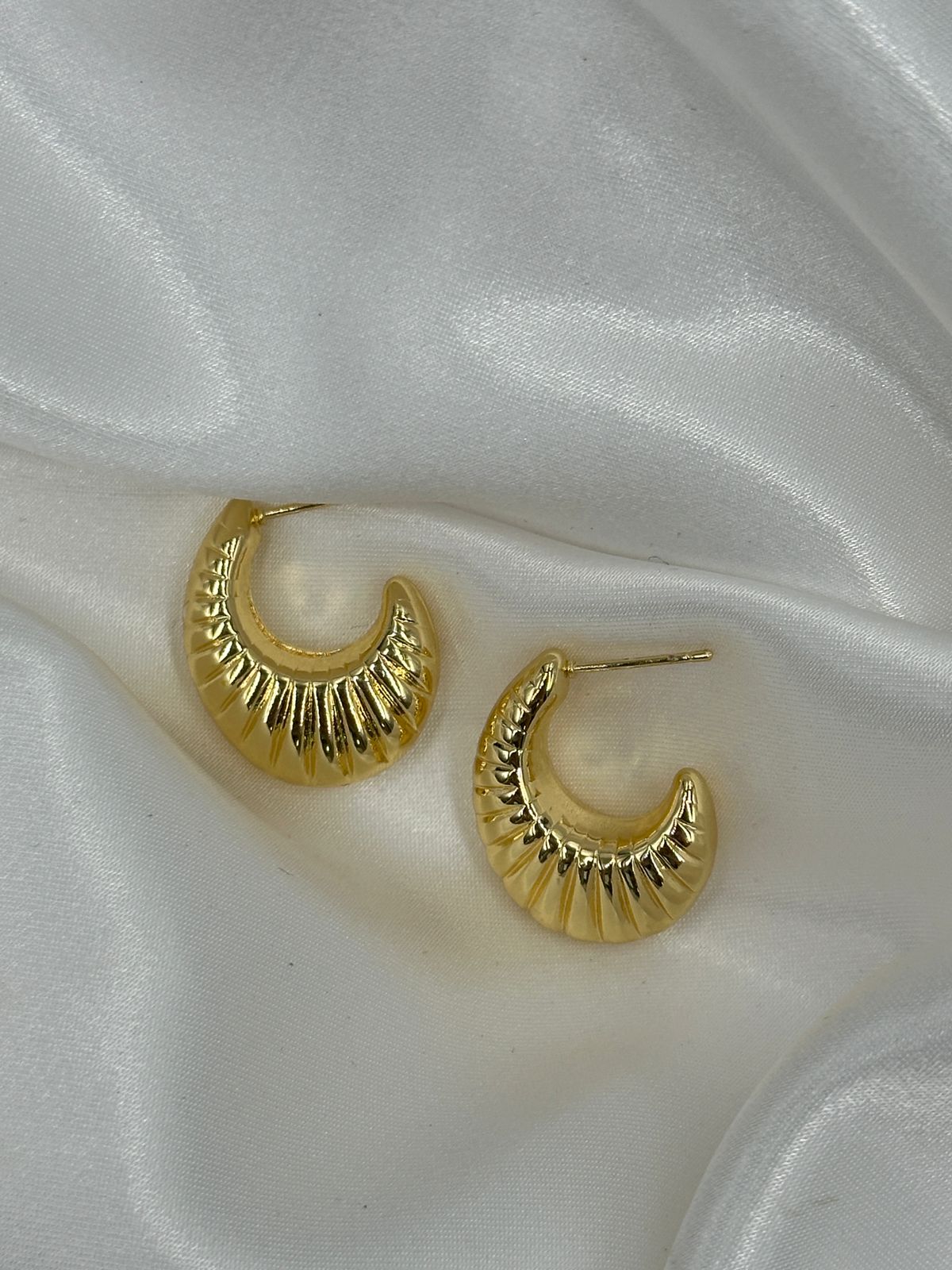 WhatsApp Image 2025-01-15 at 3.47.38 PM