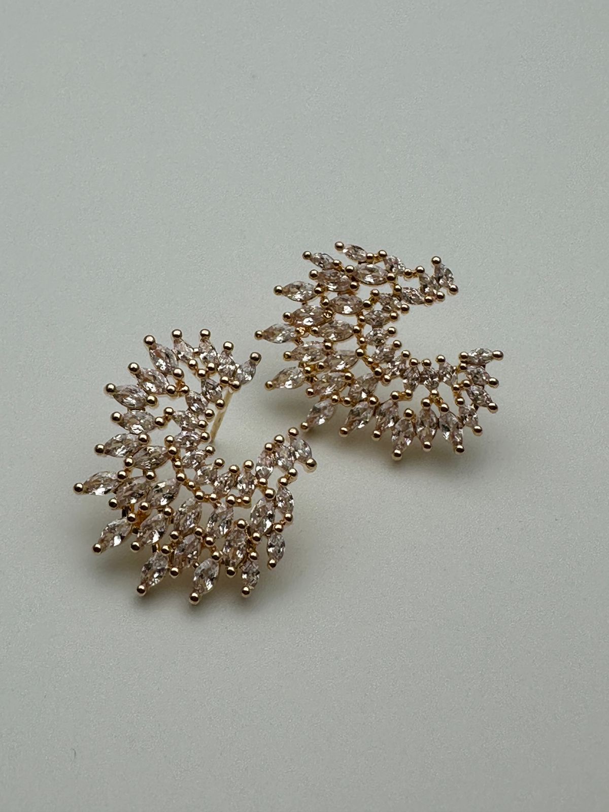 WhatsApp Image 2025-02-06 at 5.00.06 PM