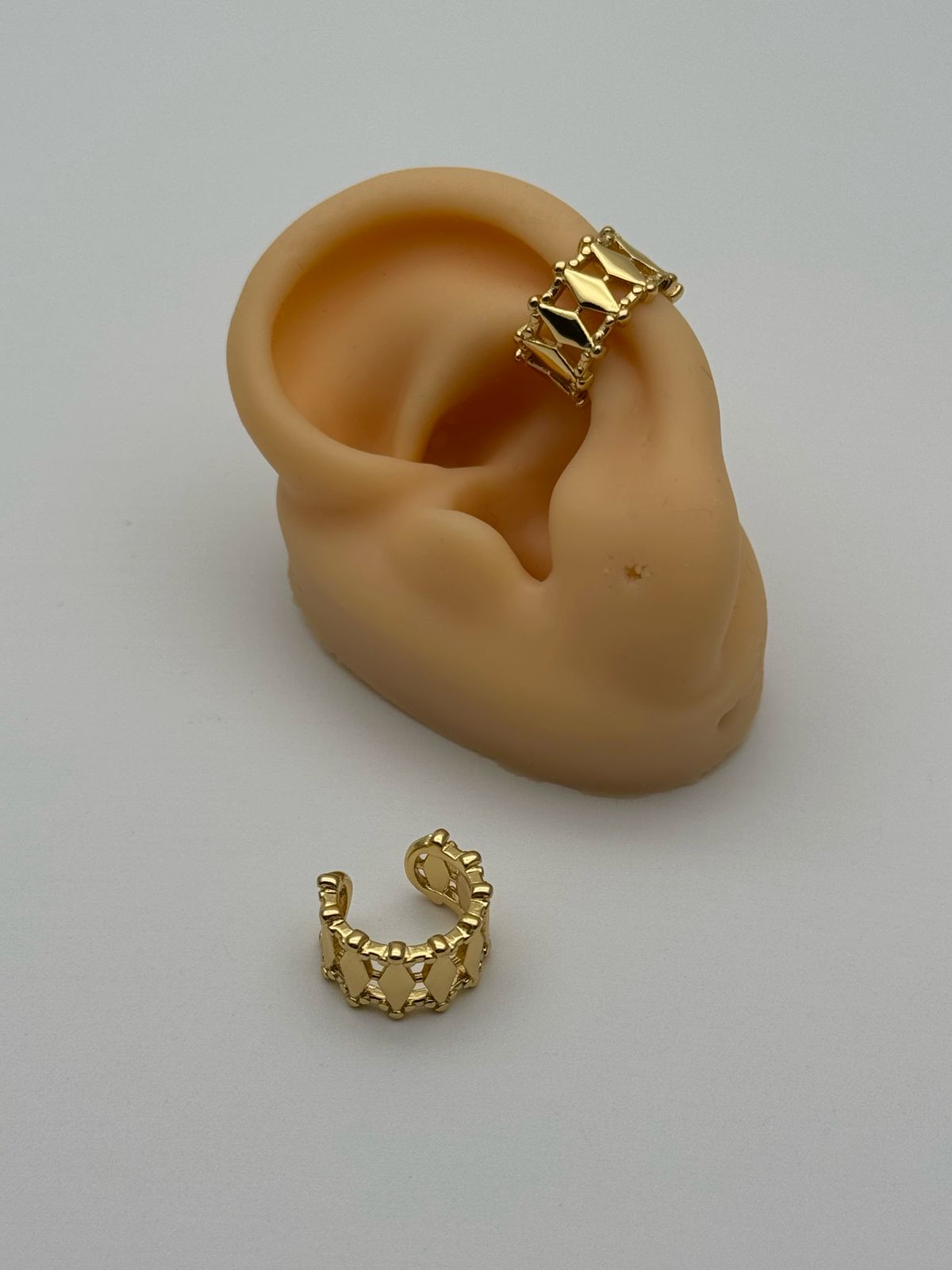 WhatsApp Image 2025-02-28 at 10.59.40 AM