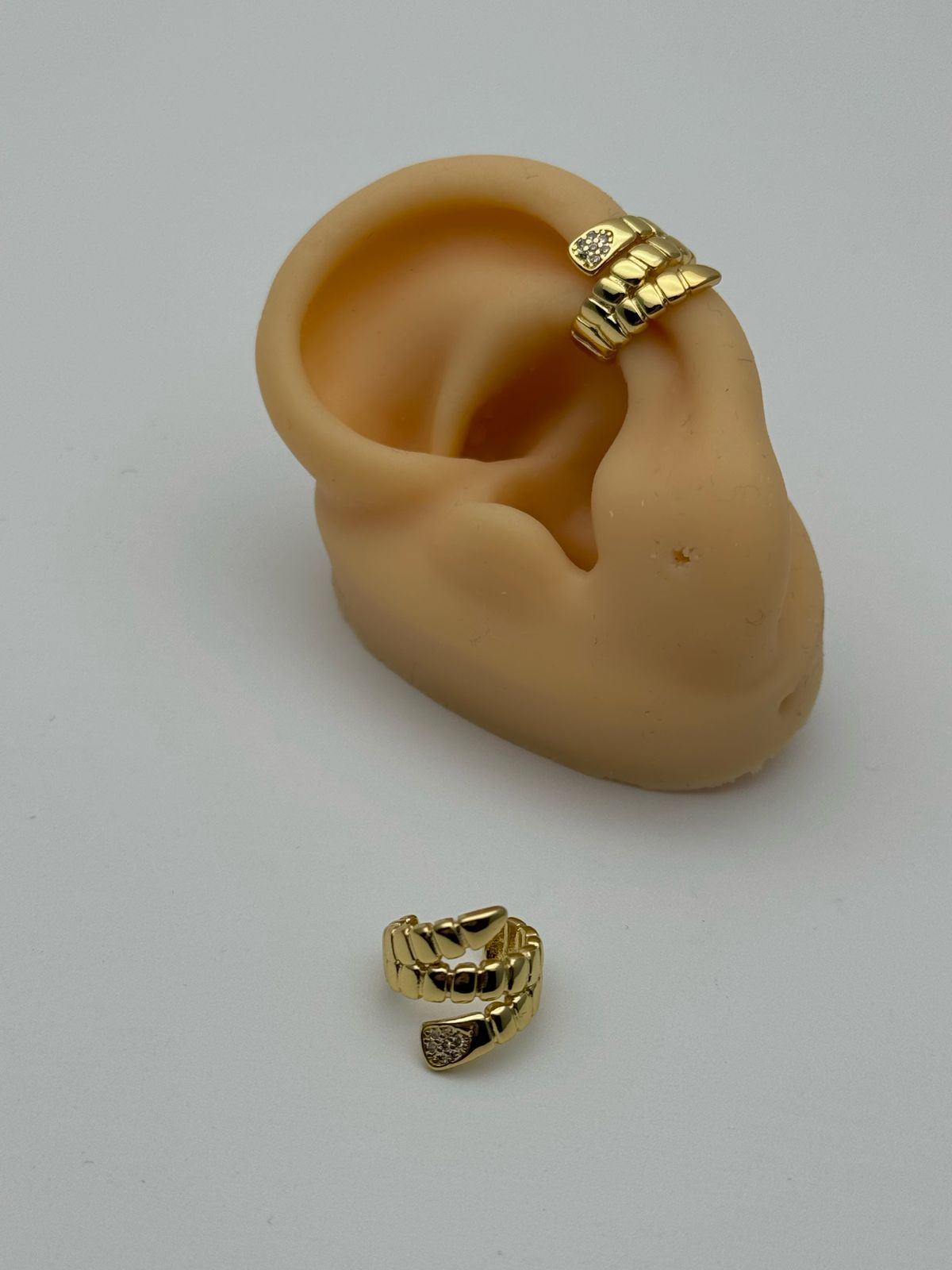 WhatsApp Image 2025-02-28 at 11.29.23 AM