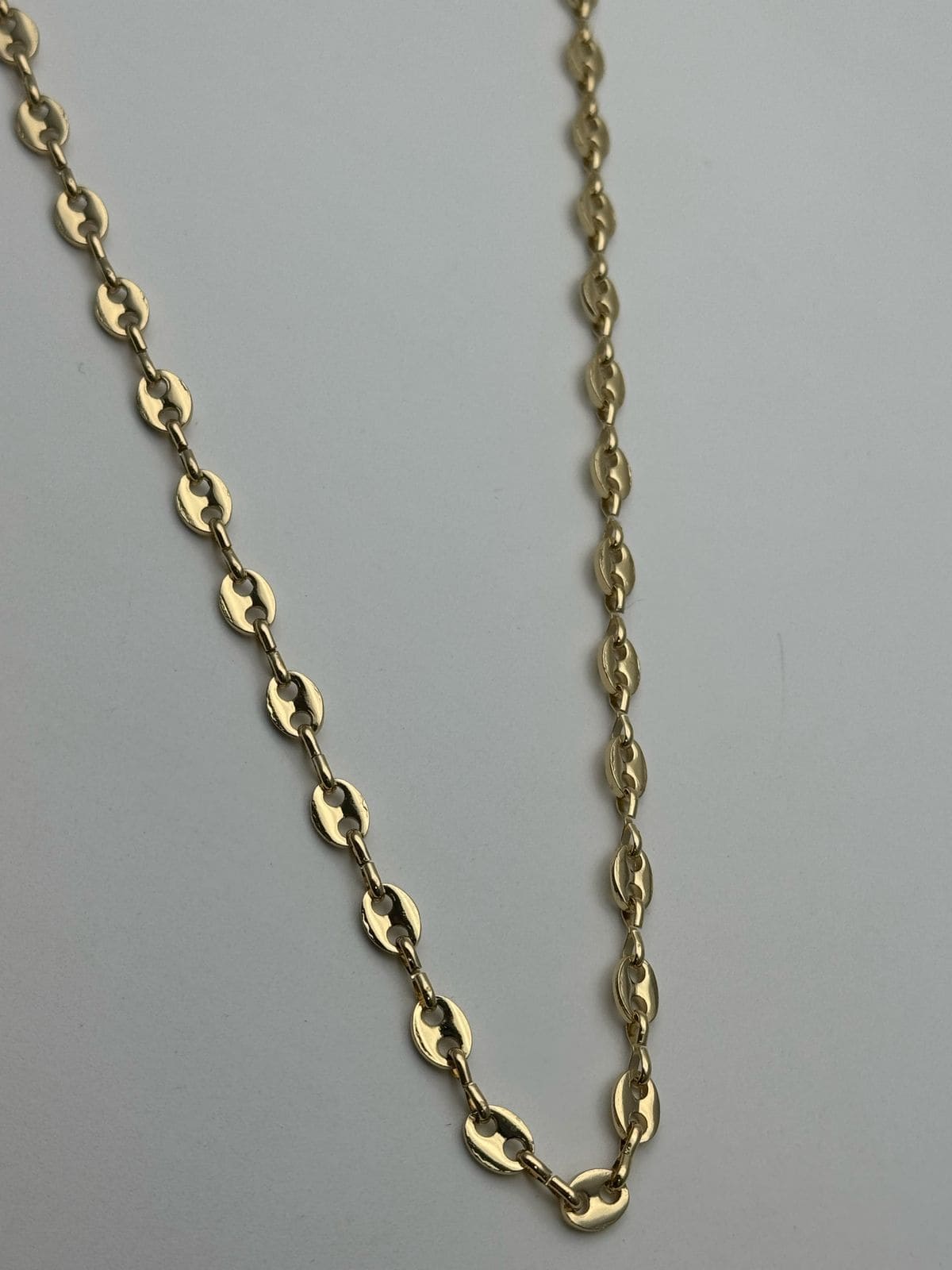 WhatsApp Image 2025-03-19 at 12.48.16 PM