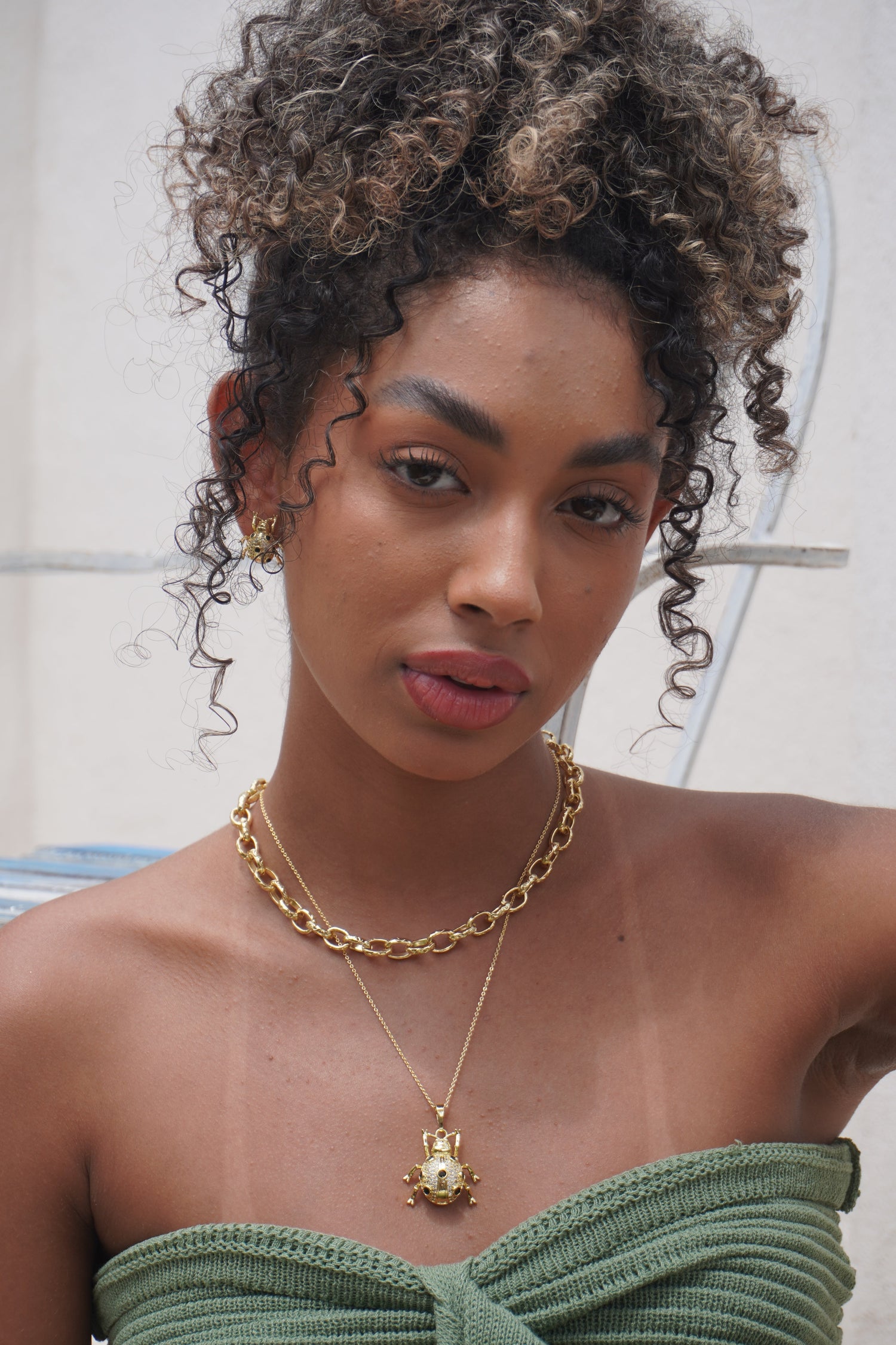 Colección de Insectos