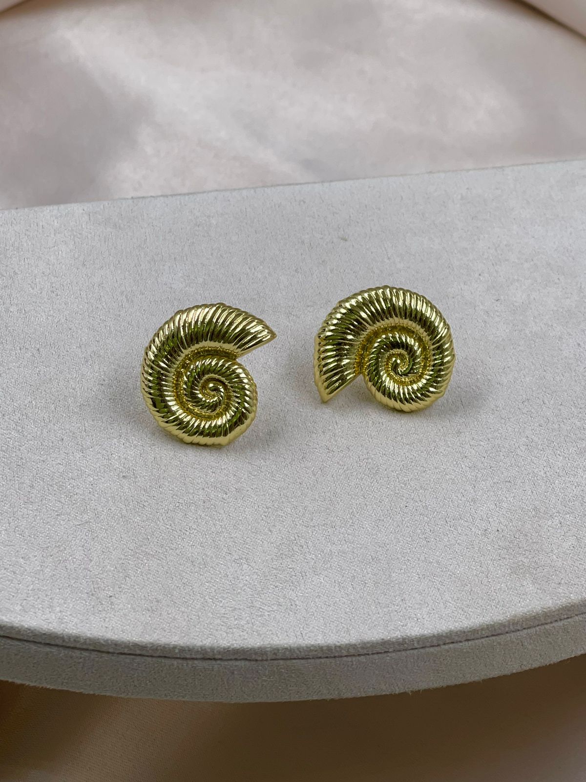 WhatsApp Image 2024-08-22 at 3.37.33 PM