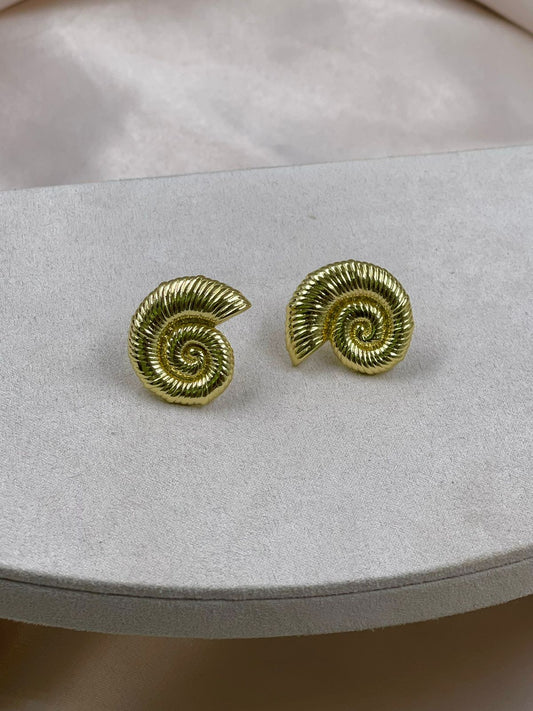 WhatsApp Image 2024-08-22 at 3.37.33 PM