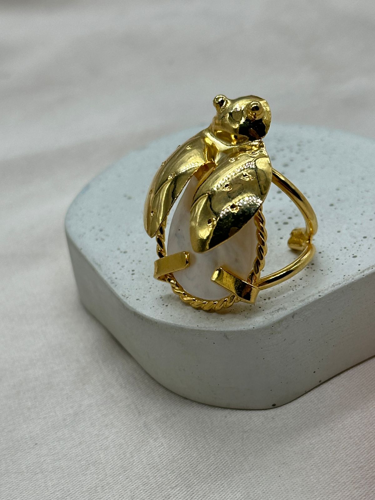 WhatsApp Image 2024-10-13 at 8.12.32 PM