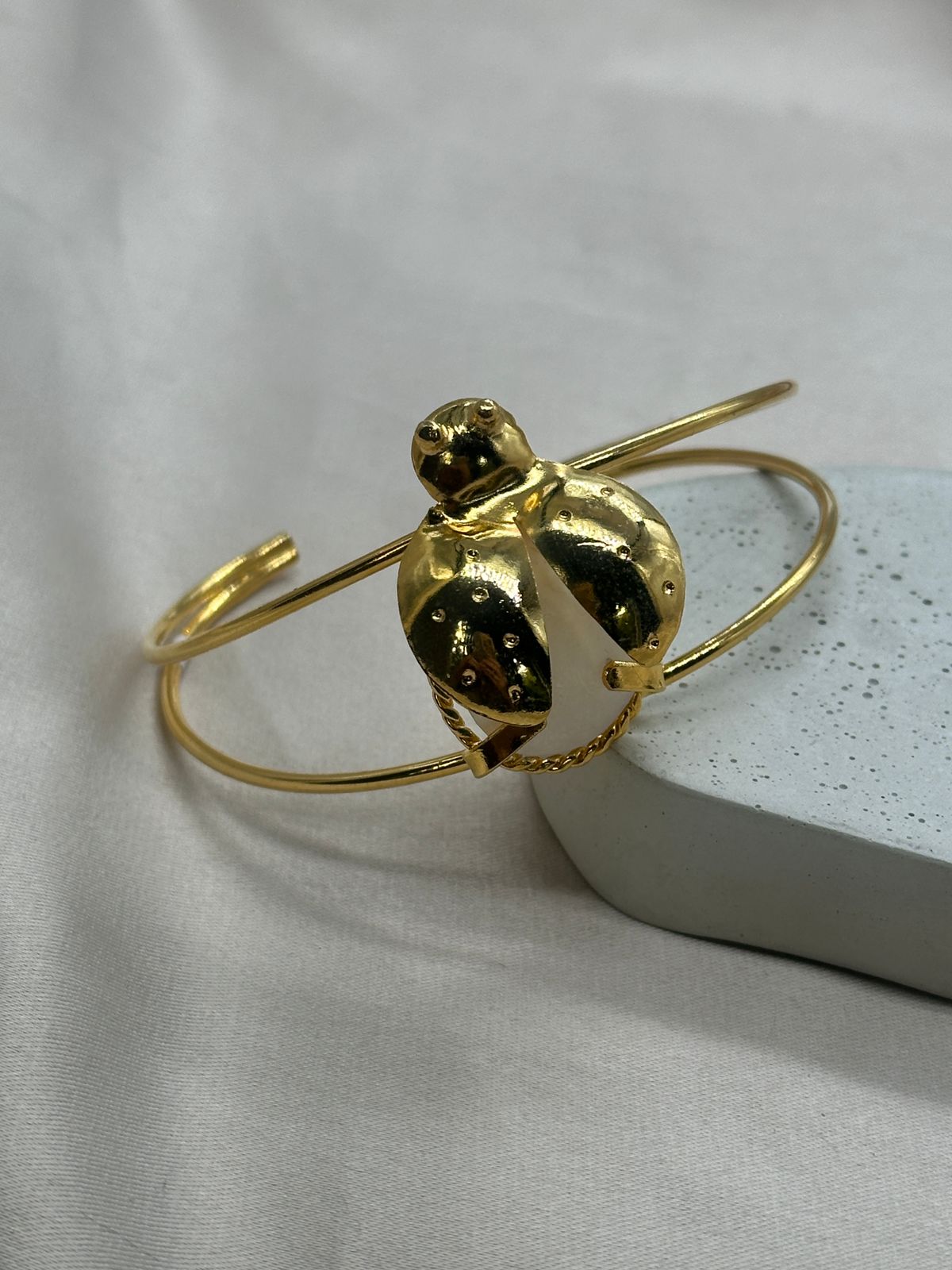 WhatsApp Image 2024-10-13 at 8.12.37 PM