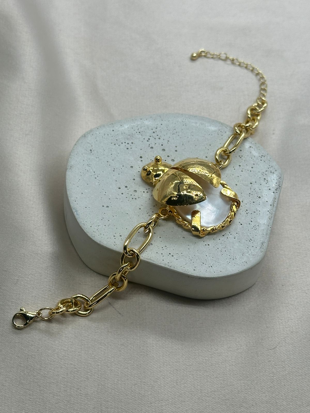 WhatsApp Image 2024-10-13 at 8.12.38 PM