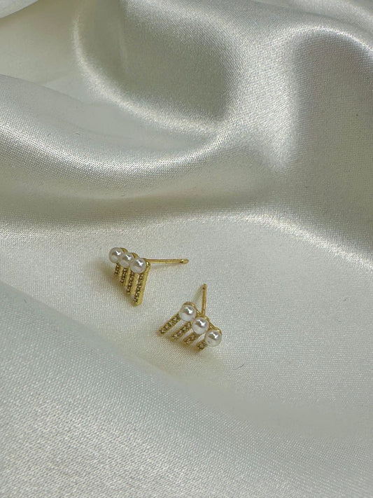 WhatsApp Image 2024-11-28 at 2.46.48 PM