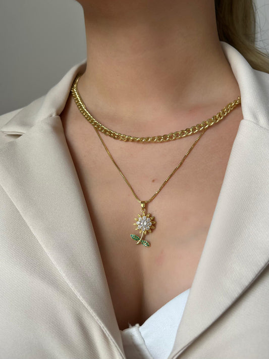 WhatsApp Image 2024-11-29 at 1.33.13 PM (1)