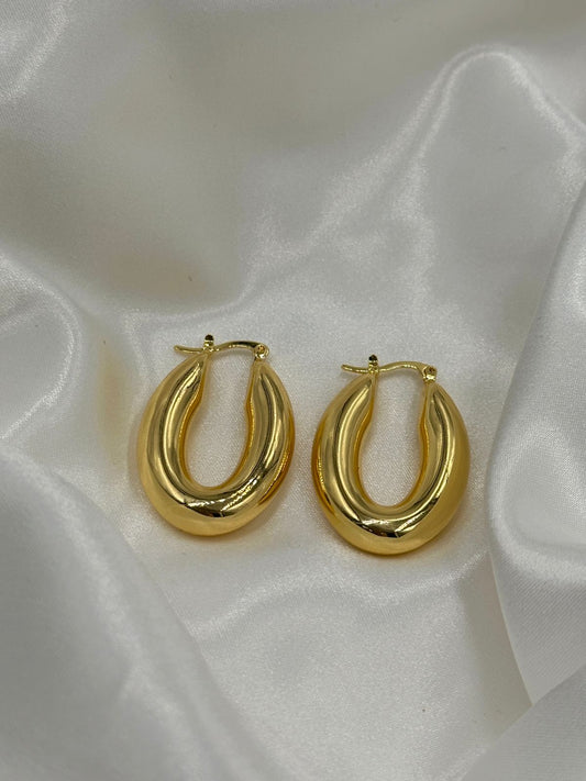 WhatsApp Image 2025-01-15 at 2.12.13 PM