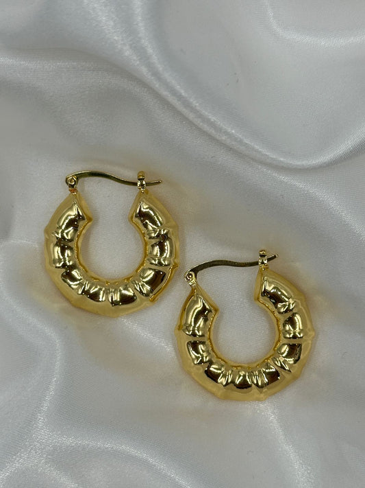 WhatsApp Image 2025-01-15 at 3.30.27 PM