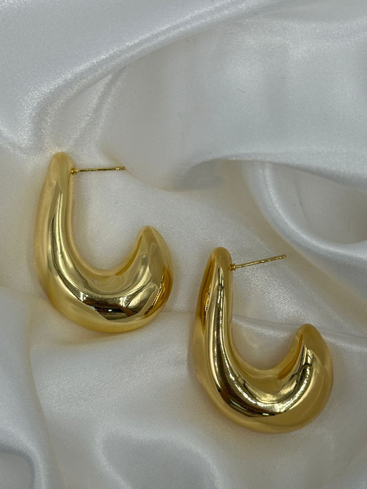 WhatsApp Image 2025-01-15 at 3.52.44 PM