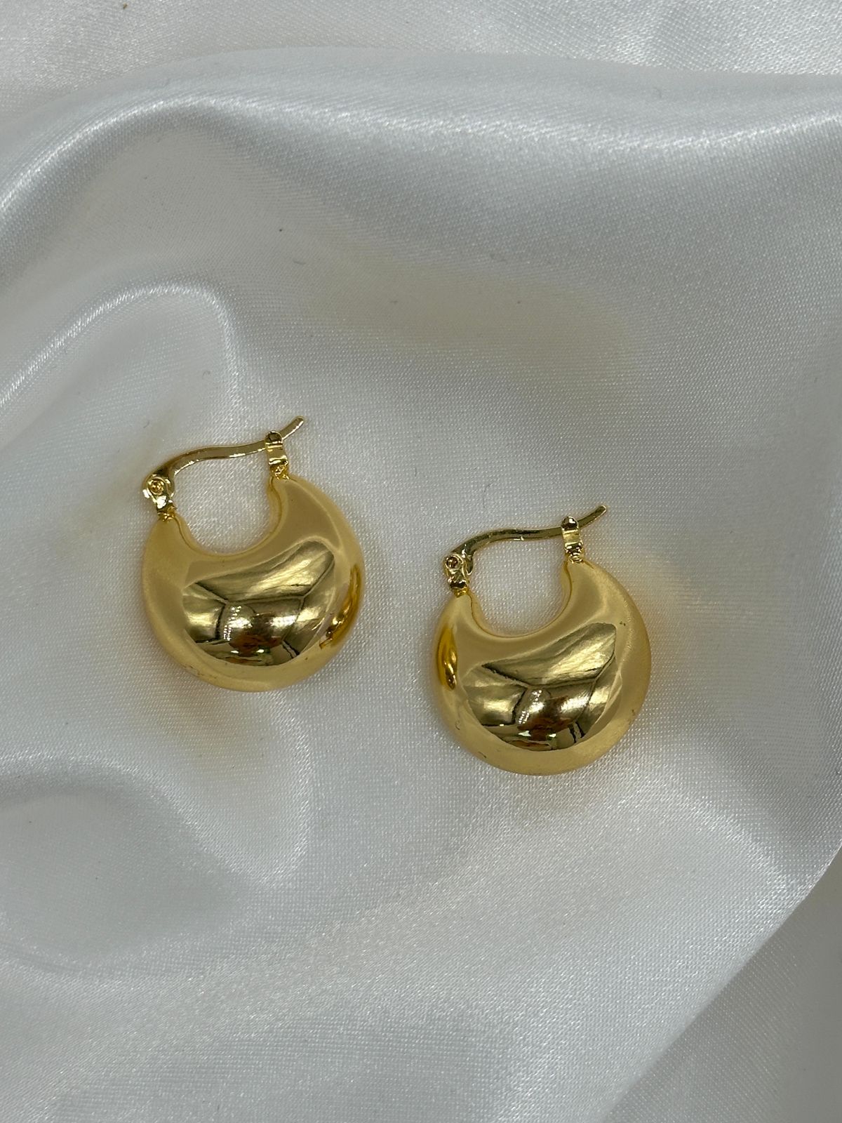 WhatsApp Image 2025-01-15 at 6.11.18 PM