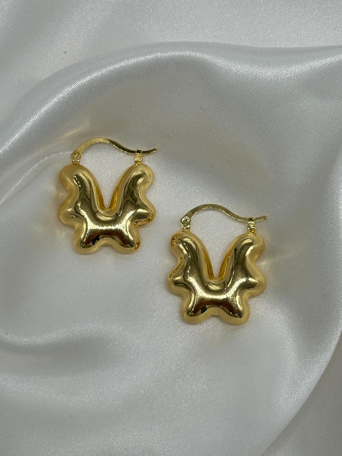 WhatsApp Image 2025-01-15 at 6.26.03 PM