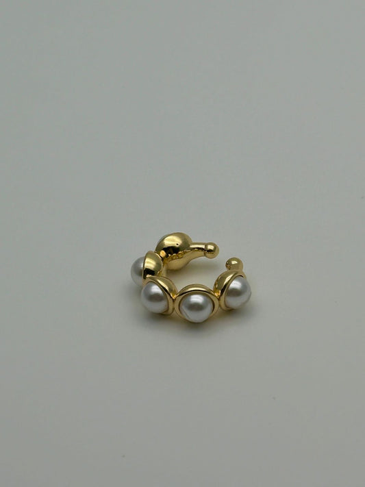 WhatsApp Image 2025-02-05 at 3.21.10 PM