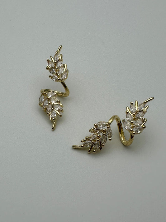 WhatsApp Image 2025-02-06 at 4.38.23 PM