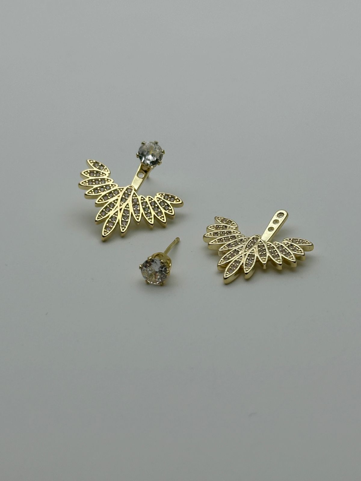 WhatsApp Image 2025-02-07 at 1.28.27 PM