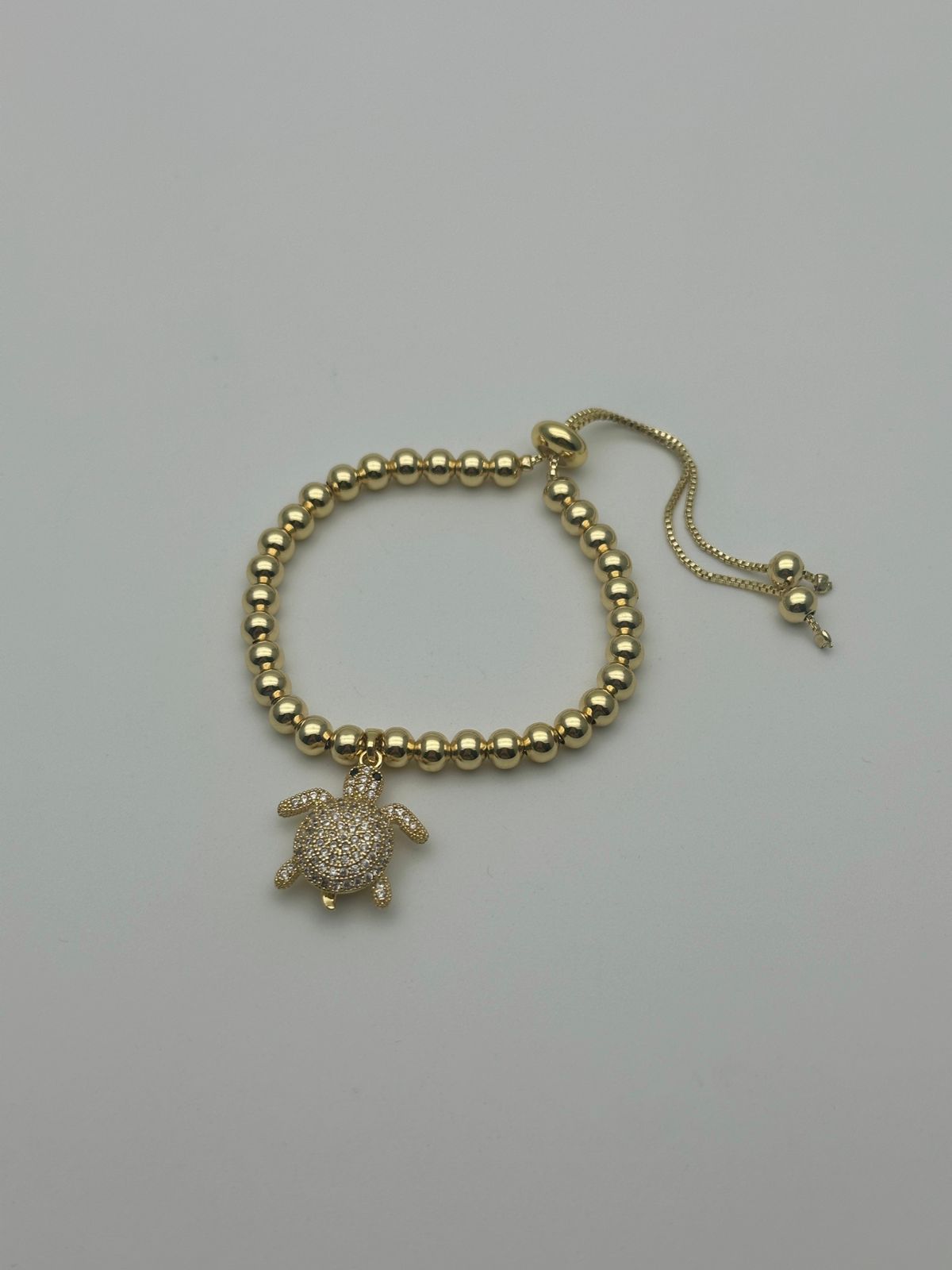 WhatsApp Image 2025-02-08 at 4.15.30 PM