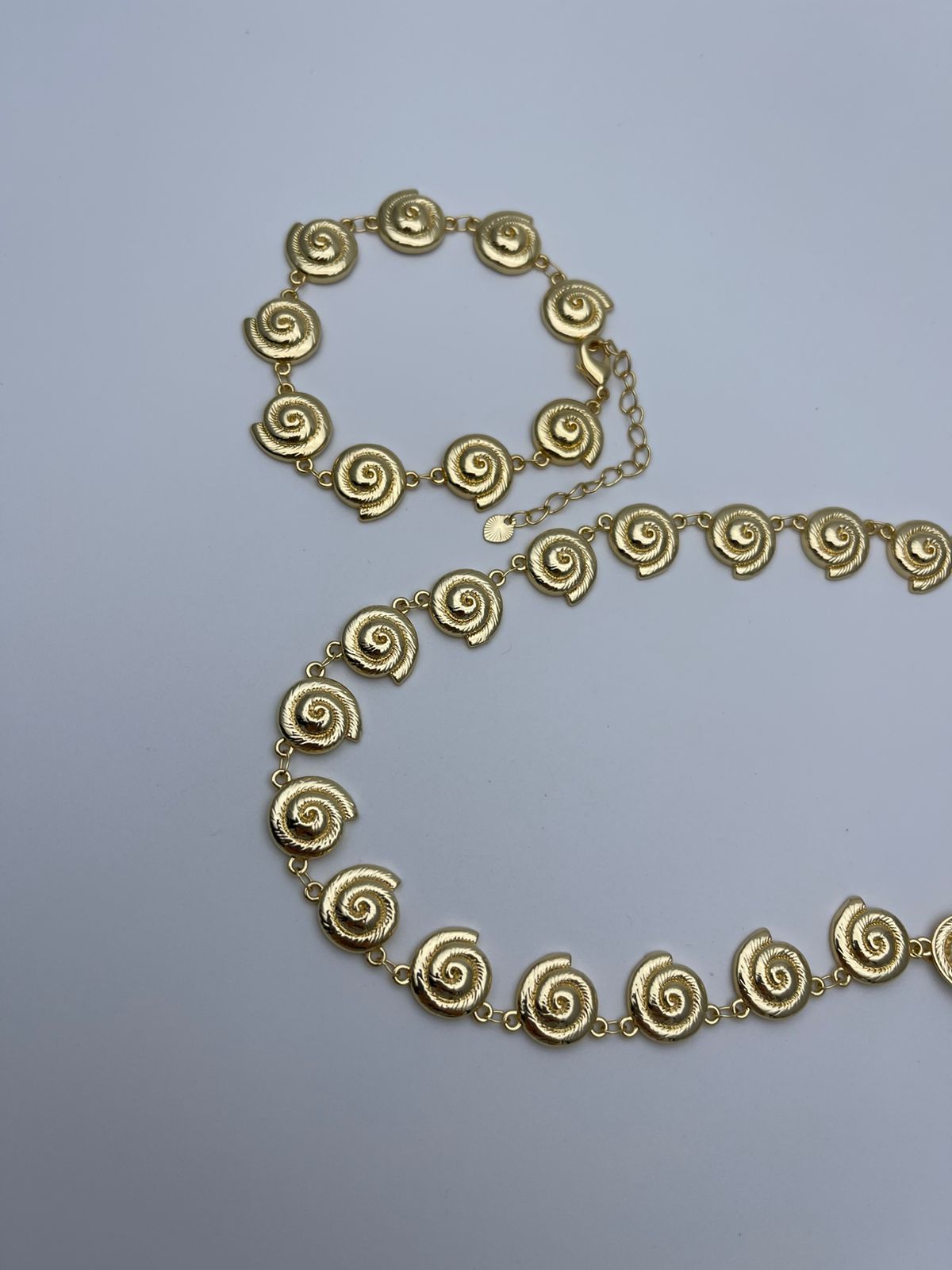 WhatsApp Image 2025-02-11 at 12.11.48 PM