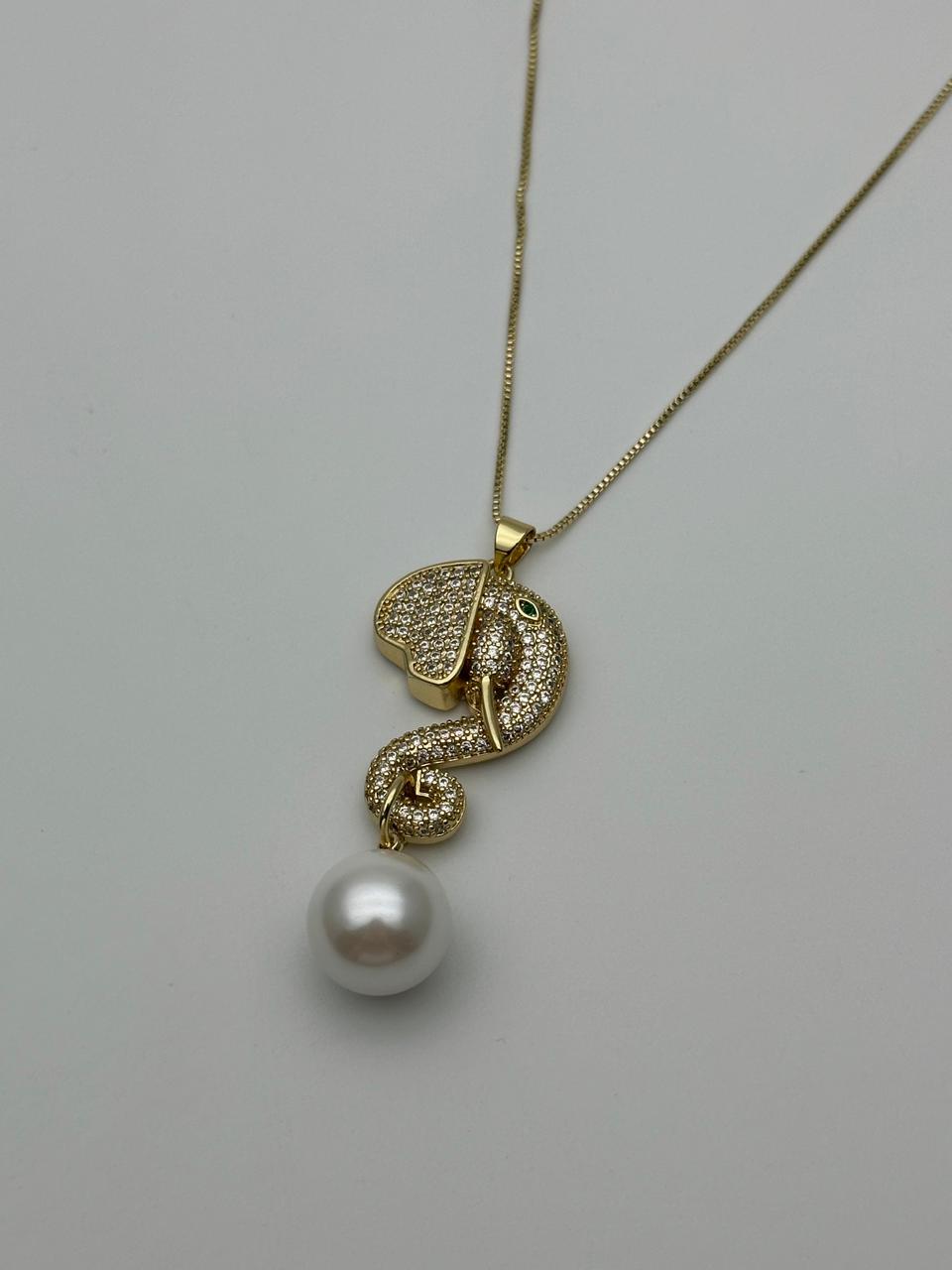 WhatsApp Image 2025-02-12 at 5.57.28 PM