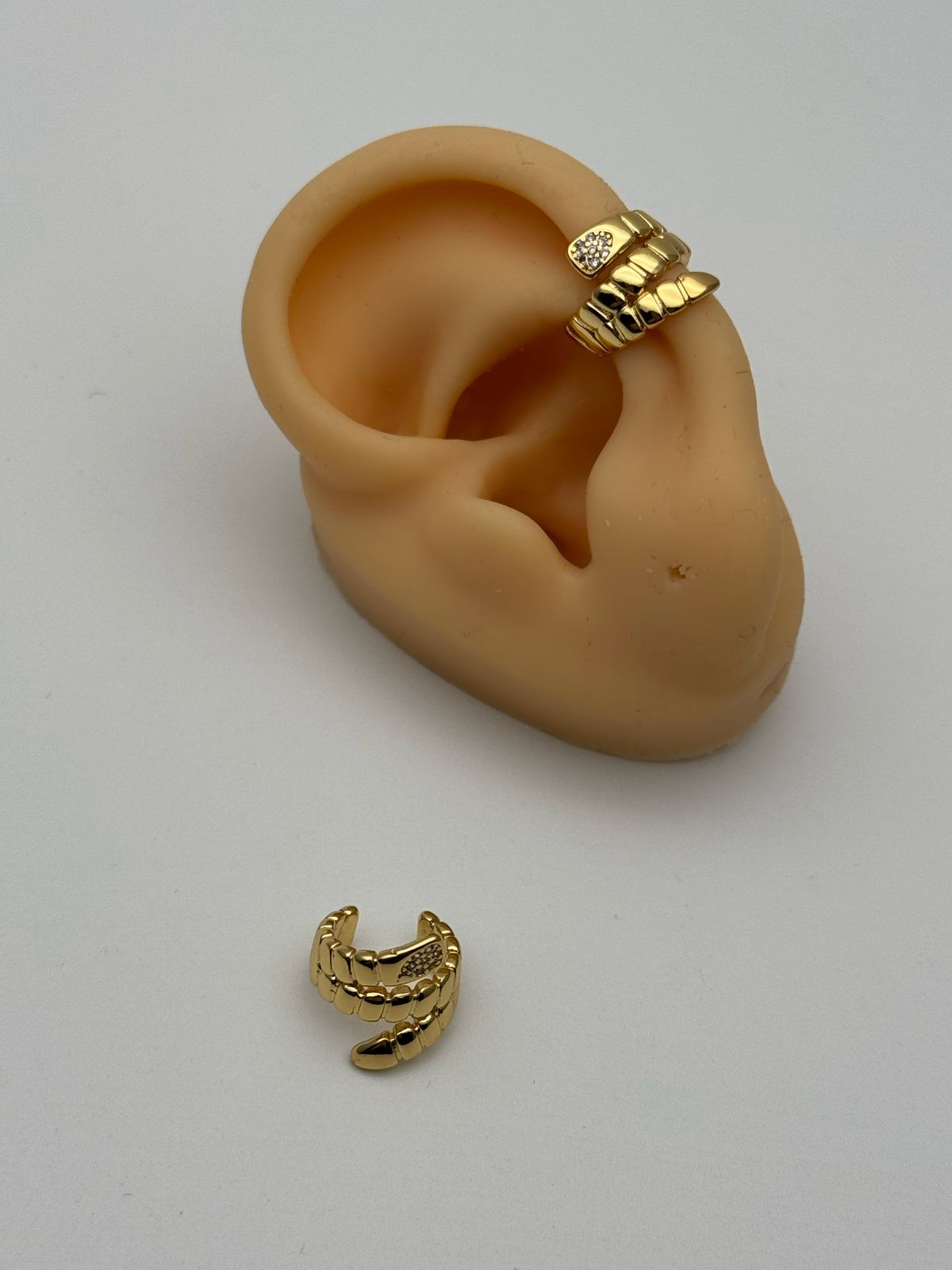 WhatsApp Image 2025-02-28 at 11.29.16 AM