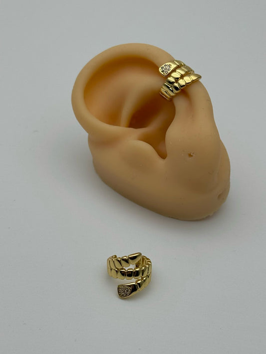 WhatsApp Image 2025-02-28 at 11.29.23 AM