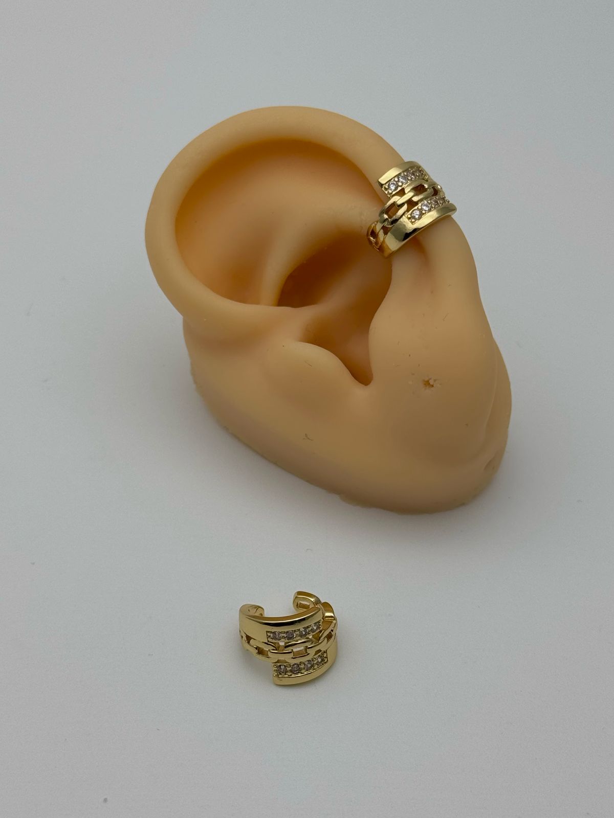 WhatsApp Image 2025-02-28 at 11.31.23 AM