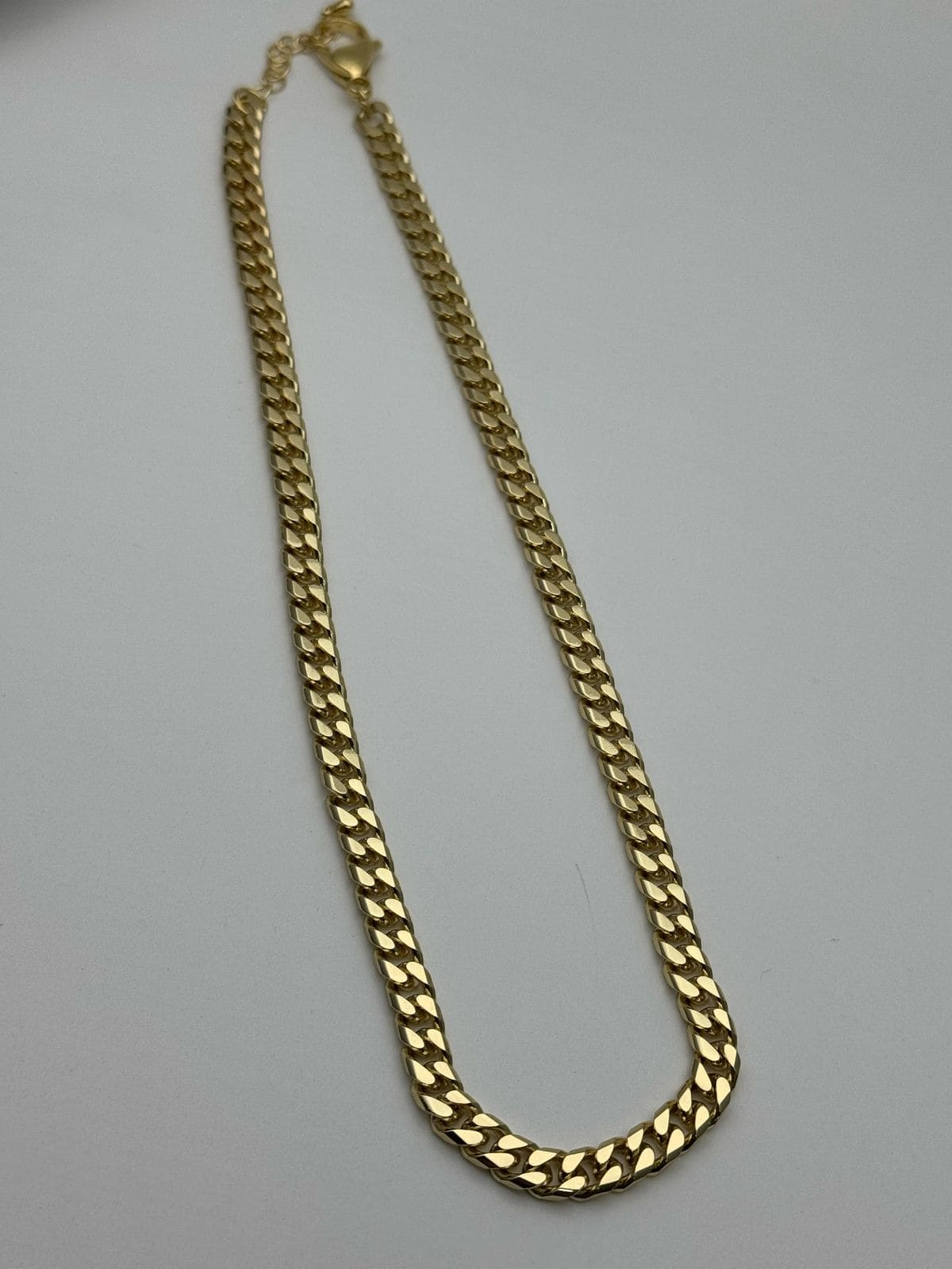 WhatsApp Image 2025-03-19 at 12.46.02 PM