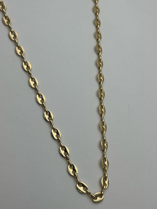 WhatsApp Image 2025-03-19 at 12.48.16 PM